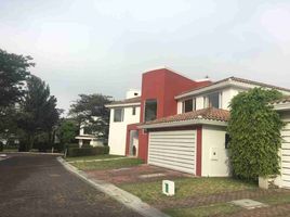 3 Habitación Casa en venta en Ecuador, Cumbaya, Quito, Pichincha, Ecuador