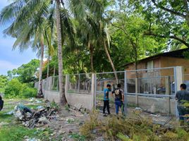  Terrain for rent in Panglao, Bohol, Panglao