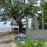  Land for rent in Bohol, Central Visayas, Panglao, Bohol