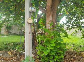  Terreno (Parcela) en venta en Lapu-Lapu City, Central Visayas, Lapu-Lapu City, Cebu