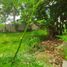  Terreno (Parcela) en venta en Lapu-Lapu City, Central Visayas, Lapu-Lapu City, Cebu