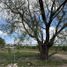  Terreno (Parcela) en venta en Tepic, Nayarit, Tepic, Nayarit