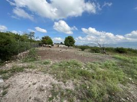  Terreno (Parcela) en venta en Tepic, Nayarit, Tepic, Nayarit