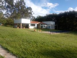  House for sale in Piedecuesta, Santander, Piedecuesta, Santander