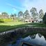  House for sale in Piedecuesta, Santander, Piedecuesta, Santander