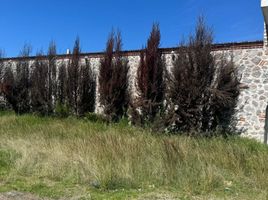  Terreno (Parcela) en alquiler en Puebla, Cuautlancingo, Puebla