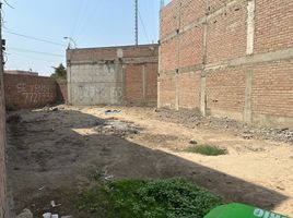  Grundstück zu verkaufen in Carabayllo, Lima, Carabayllo, Lima, Lima, Peru