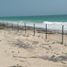  Land for sale in Isla Mujeres, Quintana Roo, Isla Mujeres