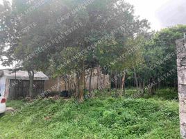  Land for sale in Cancun, Quintana Roo, Cancun