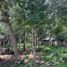 Land for sale in Cancun, Quintana Roo, Cancun