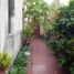 在Callao出售的3 卧室 住宅, Ventanilla, Callao, Callao