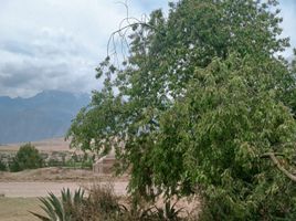  Terreno (Parcela) en venta en Maras, Urubamba, Maras