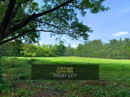  Land for sale in Edsa LRT-1, Pasay City, Pasay City