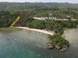  Land for sale in San Francisco, Cebu, San Francisco