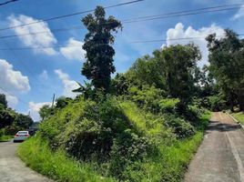  Land for sale in Rizal, Calabarzon, San Mateo, Rizal