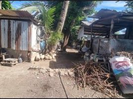 在Catmon, Cebu出售的 土地, Catmon