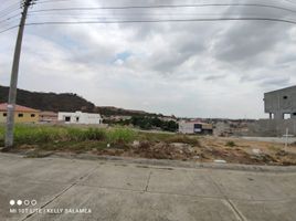  Terreno (Parcela) en venta en Daule, Guayas, Daule, Daule