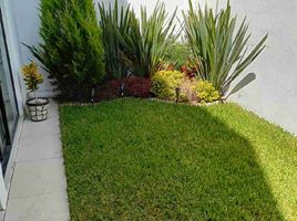 3 Habitación Casa en venta en San Luis Potosi, San Luis Potosí, San Luis Potosi, San Luis Potosí