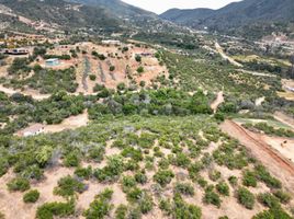  Terrain for sale in Maria Pinto, Melipilla, Maria Pinto