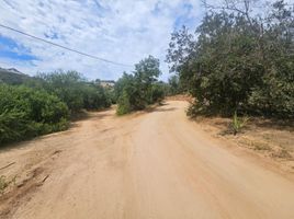  Land for sale in Maria Pinto, Melipilla, Maria Pinto