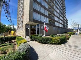 1 Bedroom Apartment for rent in Chile, Santiago, Santiago, Santiago, Chile