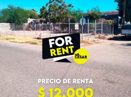  Land for rent in Hermosillo, Sonora, Hermosillo, Sonora