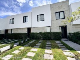 在墨西哥出租的 房产, Queretaro, Queretaro, 墨西哥