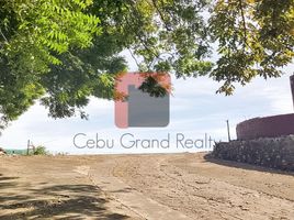  Land for rent in Central Visayas, Cebu City, Cebu, Central Visayas