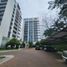 2 Bedroom Apartment for rent in Samborondon, Guayas, Samborondon, Samborondon