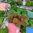  Land for sale in Paranaque City, Southern District, Paranaque City