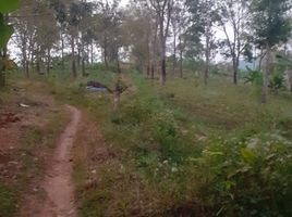  Grundstück zu vermieten in Bandung, West Jawa, Cikalong Wetan, Bandung