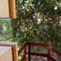  Villa for sale in Cumbaya, Pichincha, Cumbaya