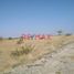  Terreno (Parcela) en venta en Piura, Piura, Piura, Piura, Piura