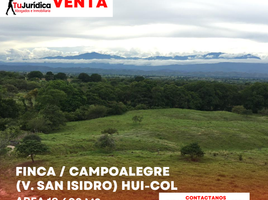  Terreno (Parcela) en venta en Campoalegre, Huila, Campoalegre