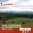  Land for sale in Campoalegre, Huila, Campoalegre, Huila