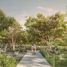  Land for sale in Acanceh, Yucatan, Acanceh