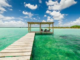 1 Schlafzimmer Wohnung zu verkaufen in Othon P Blanco, Quintana Roo, Othon P Blanco