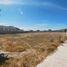 Terreno (Parcela) en venta en San Agustin Tlaxiaca, Hidalgo, San Agustin Tlaxiaca