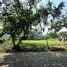  Land for sale in Lowok Waru, East Jawa, Lowok Waru, Malang Regency