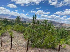  Terreno (Parcela) en venta en Villa De Leyva, Boyaca, Villa De Leyva