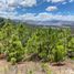  Terreno (Parcela) en venta en Villa De Leyva, Boyaca, Villa De Leyva