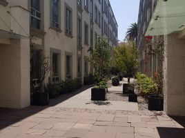 90 平米 Office for rent in FazWaz.cn, Miguel Hidalgo, Mexico City, 墨西哥