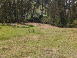  Grundstück zu verkaufen in Quito, Pichincha, Yaruqui