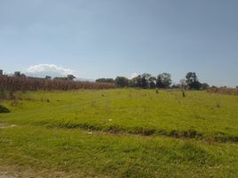  Grundstück zu verkaufen in Toluca, Mexico, Toluca