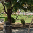 3 Schlafzimmer Haus zu verkaufen in Torreon, Coahuila, Torreon