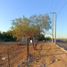  Land for sale in Hermosillo, Sonora, Hermosillo