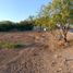  Land for sale in Hermosillo, Sonora, Hermosillo