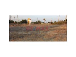  Terreno (Parcela) en venta en Castilla, Piura, Castilla, Piura, Piura