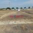  Terreno (Parcela) en venta en Castilla, Piura, Castilla, Piura, Piura