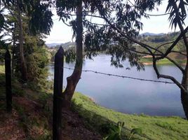  Land for sale in Guatape, Antioquia, Guatape